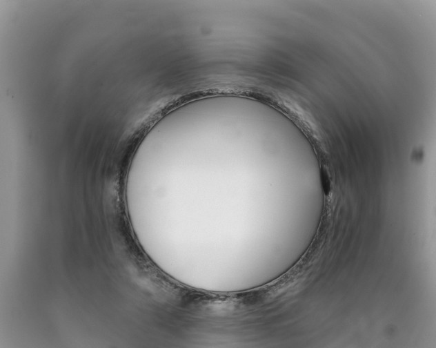 X0000090780306200707201140