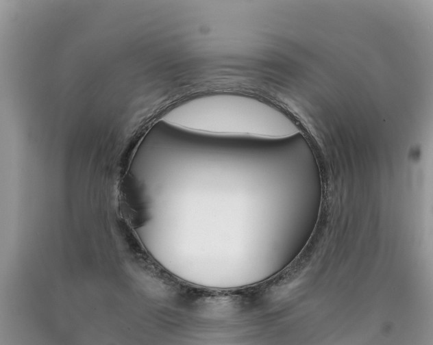X0000090780307200707201140