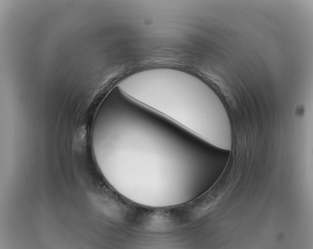 X0000090780308200707201140