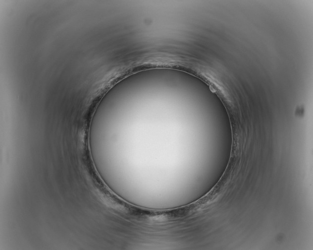 X0000090780309200707201140