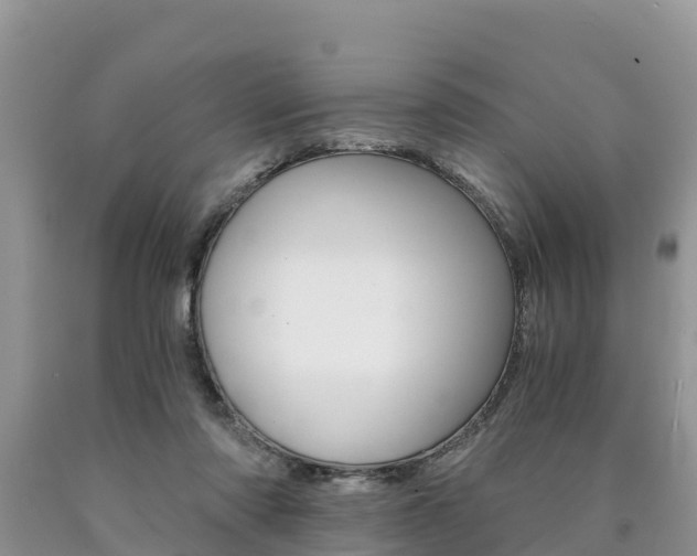 X0000090780310200707201140