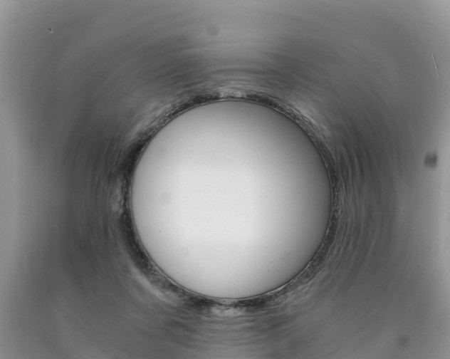 X0000090780311200707201140