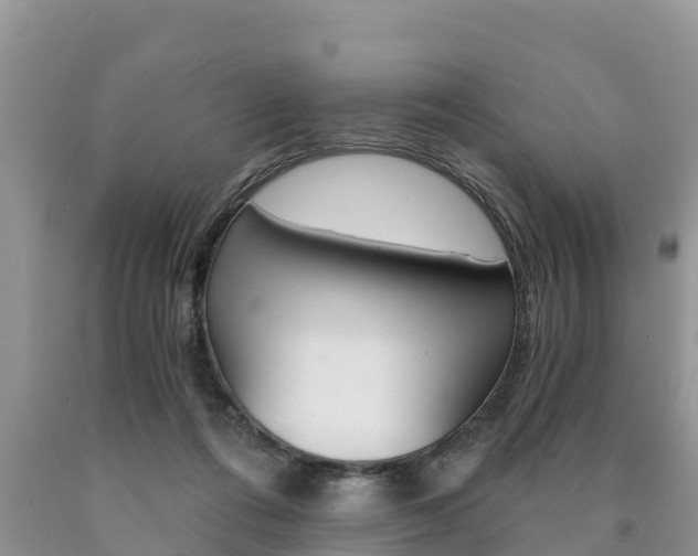 X0000090780312200707201140