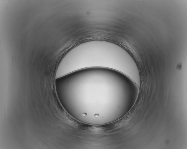 X0000090780313200707201140