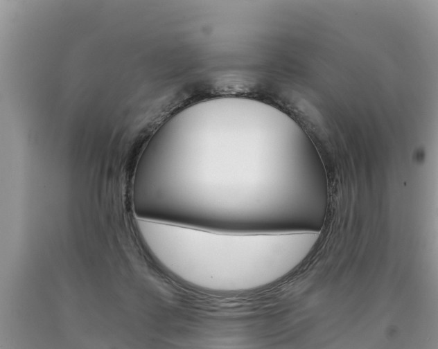 X0000090780315200707201140