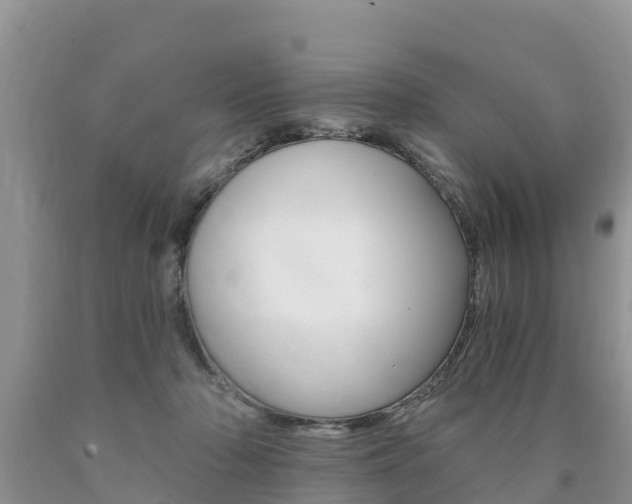 X0000090780318200707201140