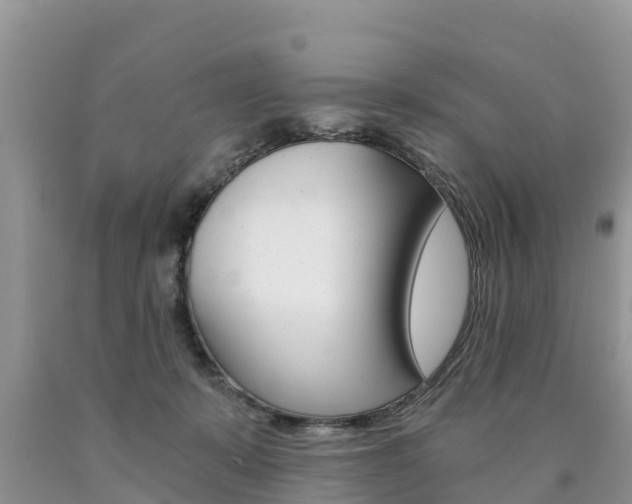 X0000090780319200707201140