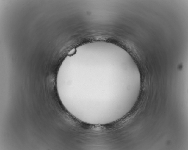 X0000090780321200707201140