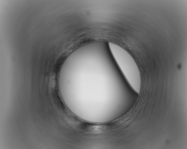 X0000090780323200707201140