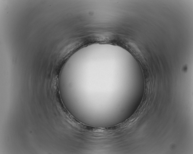 X0000090780325200707201140
