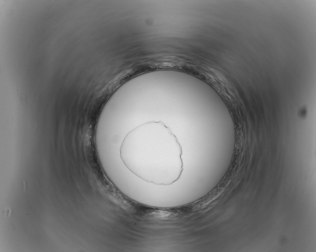 X0000090780326200707201140