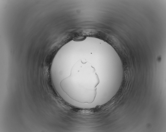 X0000090780327200707201140
