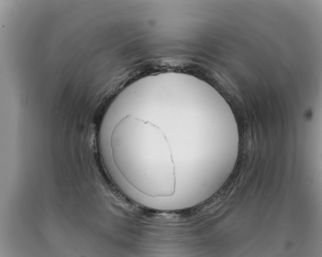 X0000090780328200707201140