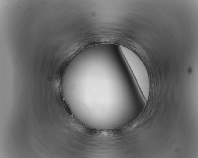 X0000090780329200707201140
