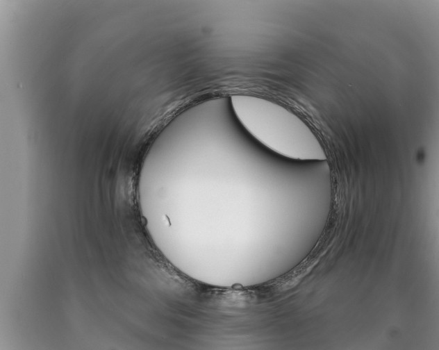 X0000090780330200707201140