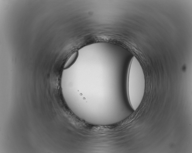 X0000090780331200707201140