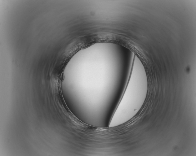 X0000090780333200707201140