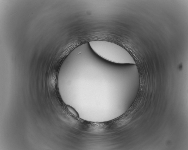 X0000090780334200707201140