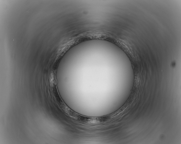 X0000090780335200707201140