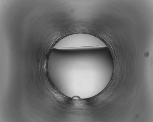 X0000090780336200707201140
