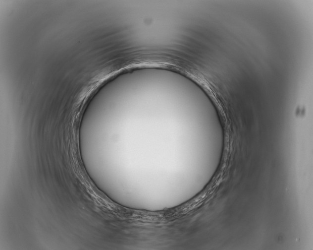 X0000090780337200707201139