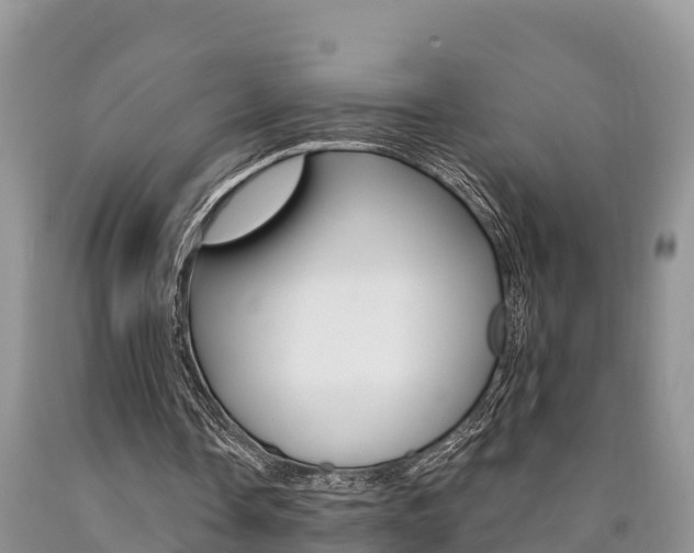X0000090780338200707201139