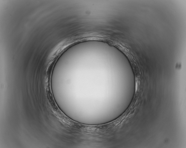 X0000090780339200707201139
