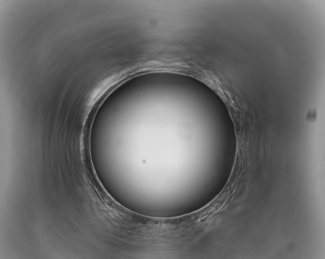 X0000090780340200707201139