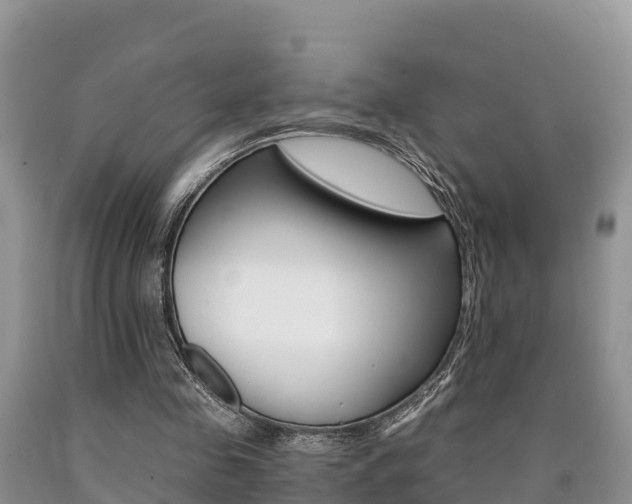 X0000090780341200707201139