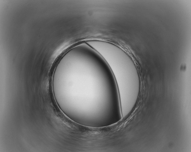 X0000090780344200707201139