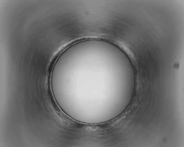 X0000090780346200707201139