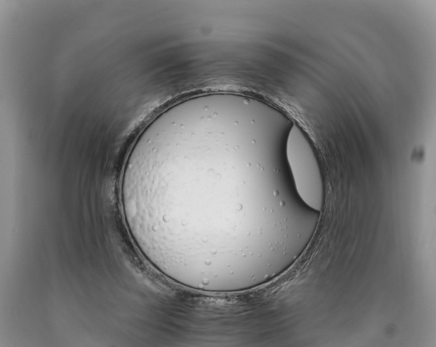 X0000090780347200707201139