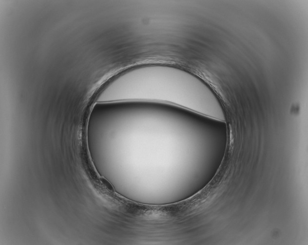 X0000090780348200707201139