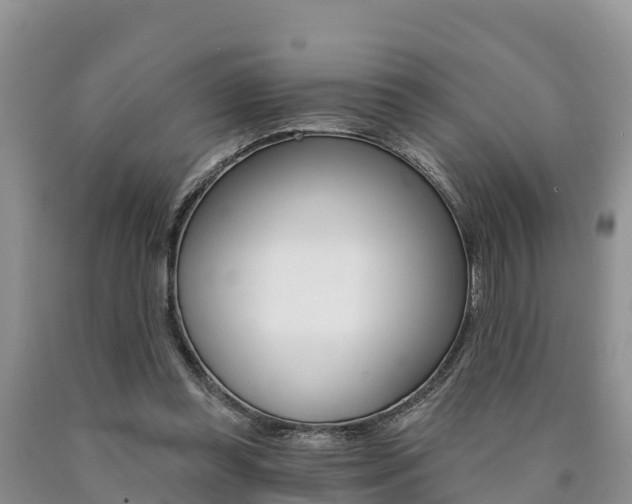X0000090780349200707201139