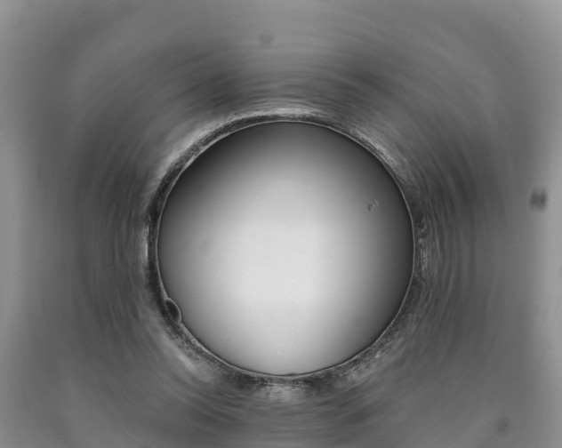 X0000090780350200707201139