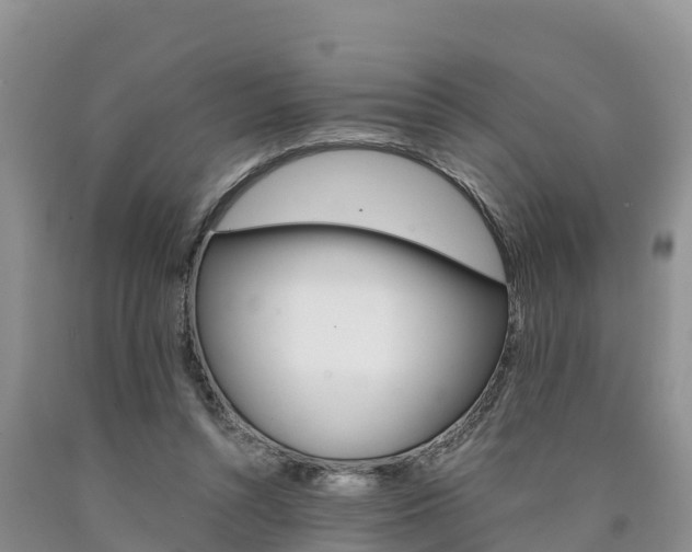 X0000090780352200707201139