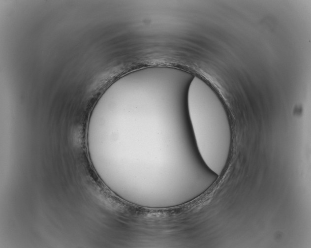 X0000090780353200707201139