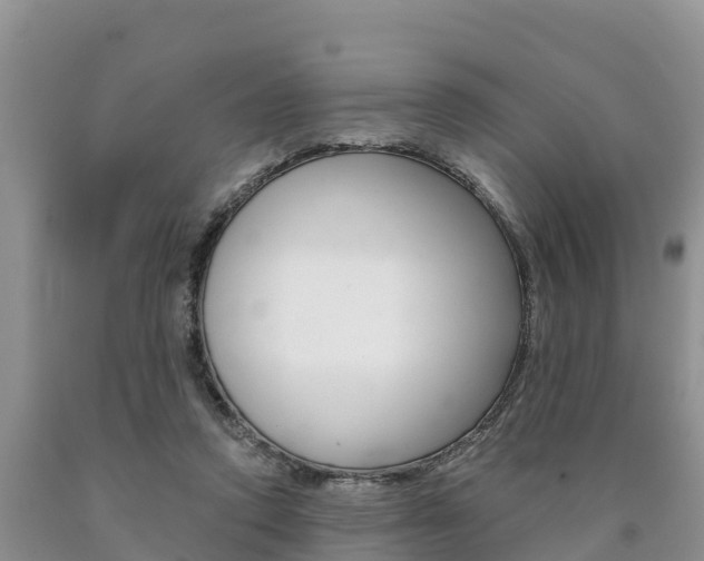 X0000090780354200707201139