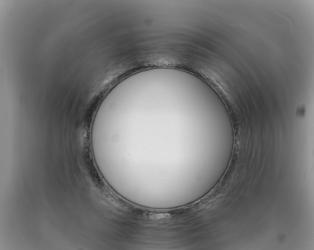 X0000090780355200707201139