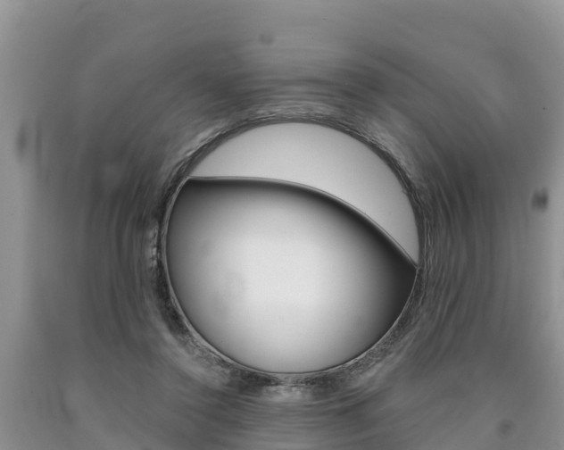 X0000090780356200707201139