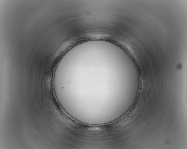 X0000090780357200707201139