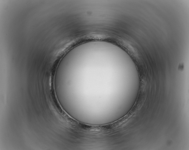 X0000090780358200707201139