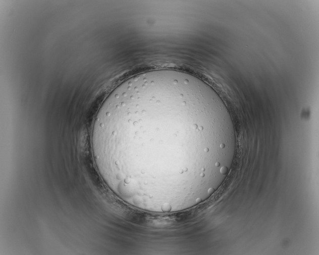 X0000090780359200707201139