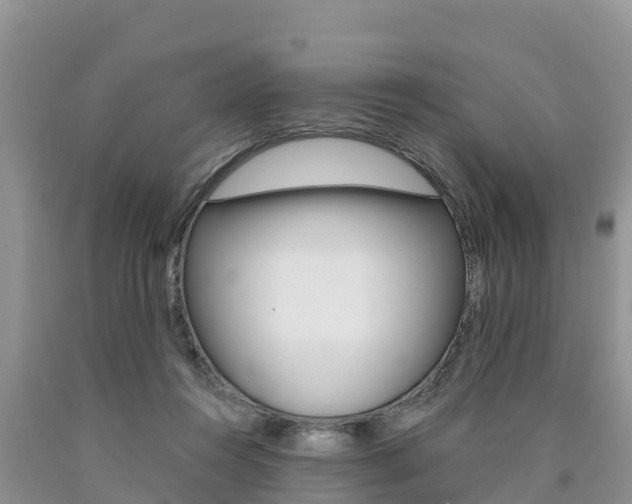 X0000090780360200707201139