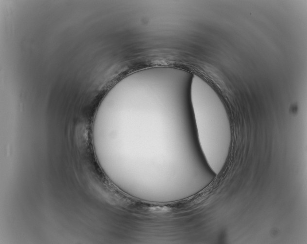 X0000090780363200707201139