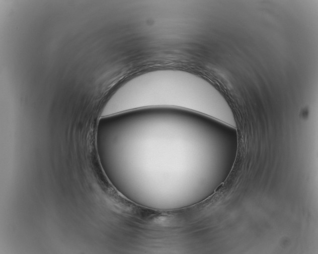 X0000090780364200707201139