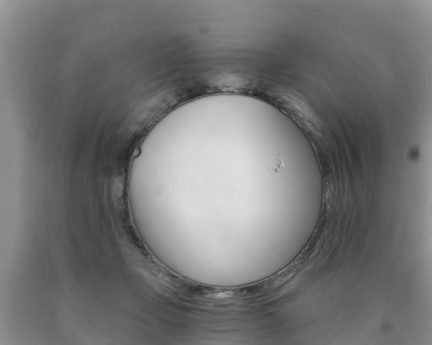 X0000090780365200707201139