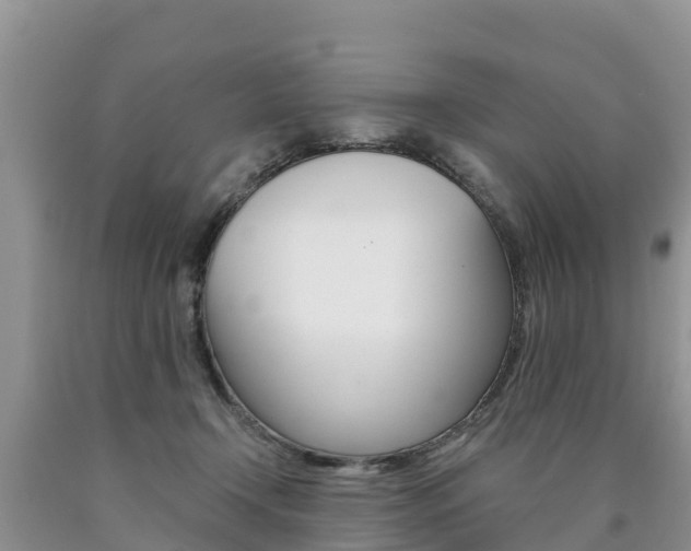 X0000090780366200707201139