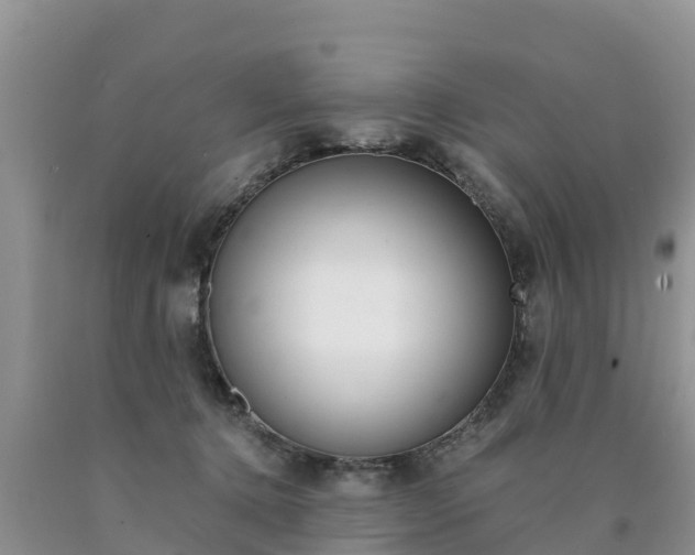 X0000090780368200707201139