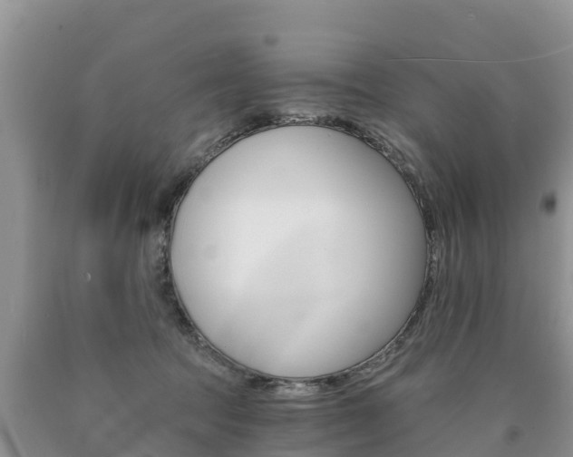 X0000090780369200707201139